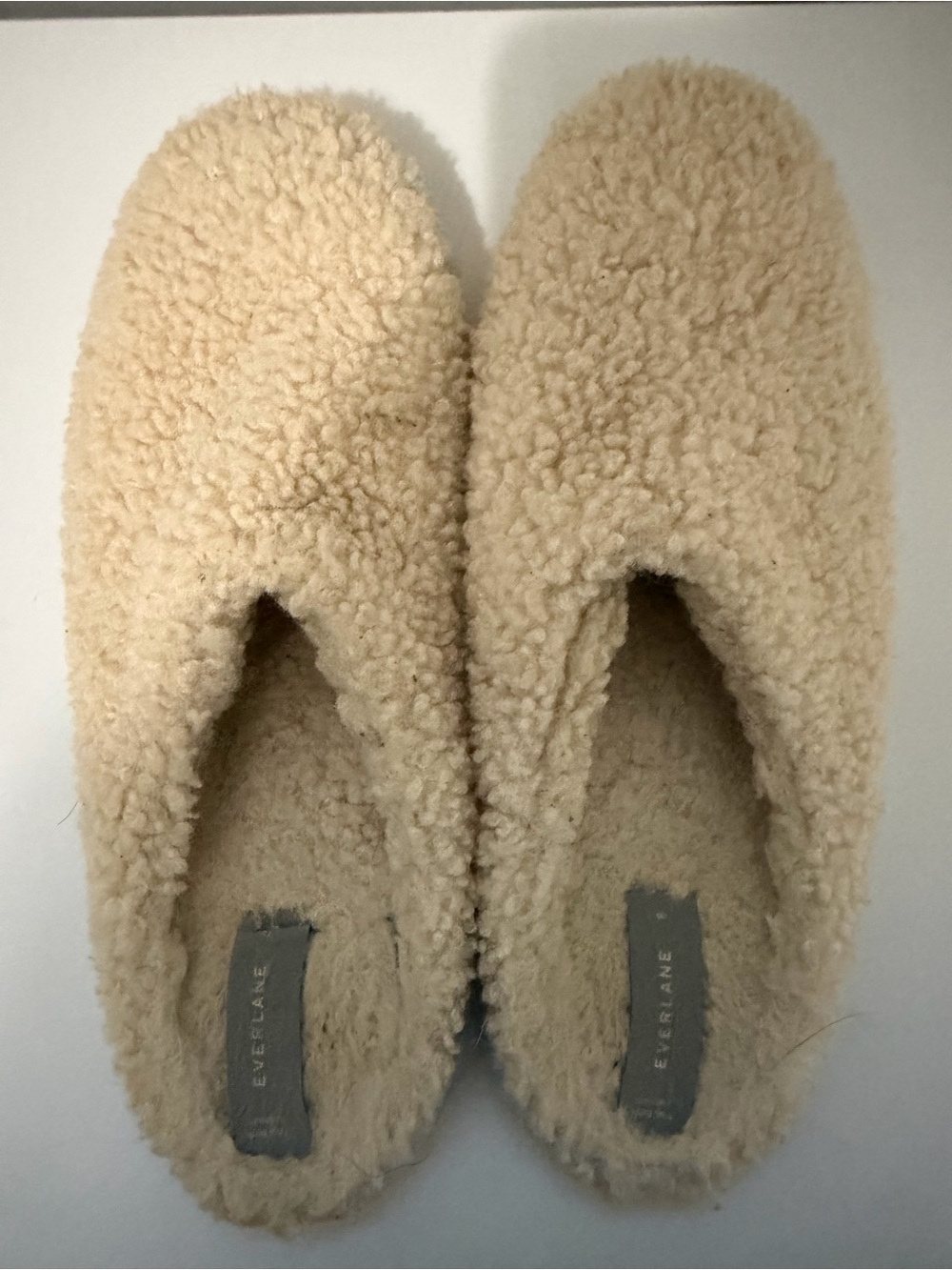 Everlane Teddy Slip-On Slippers in Cream